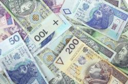 Какая денежная единица Польши: евро или злотый?