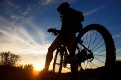 Какие мышцы качаются при езде на велосипеде по горной и равнинной местности?