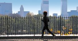 Как начать бегать по утрам? Все ответы здесь