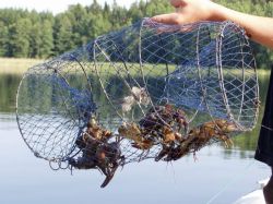 Ловля раков: самые известные способы