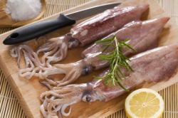 Кальмары: калорийность, польза, методы приготовления