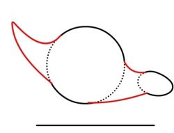 Покажите своему юному палеонтологу, как нарисовать динозавра