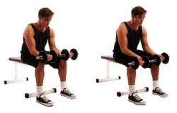 Большие руки - как накачать предплечья 