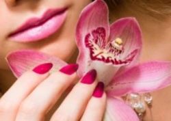 Покрытие Shellac: в чем его уникальность?