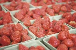 Слабительные продукты в борьбе с замедленным обменом веществ