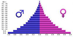 Половозрастная пирамида населения: характеристика, виды