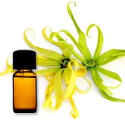 Эфирное масло иланг-иланг поможет вашей коже лица и волосам быть идеальными