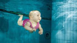 Лучшие детские бассейны Воронежа: обзор, особенности, отзывы