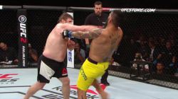 Рой Нельсон: 