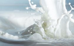 Каким бывает молоко? Виды молока и молочных продуктов