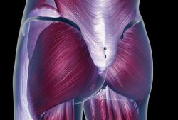 Как накачать 