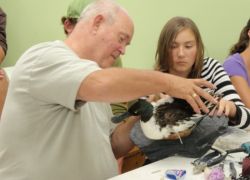 Структура деятельности в психологии. Три основных вида