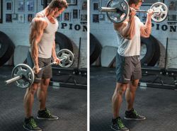 Тренировка бицепсов. Программа тренировок на бицепс