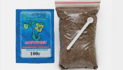 Применение морозника кавказского для похудения: как правильно пить, отзывы. Морозник кавказский: применение и противопоказания