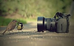 Как уменьшить размер фотографии, сохранив высокое качество
