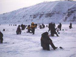 Рыбалка на Днестре: места, особенности