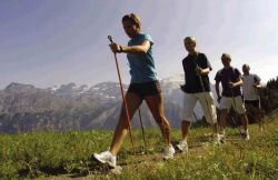 Польза скандинавской ходьбы с палками, правильная техника, противопоказания