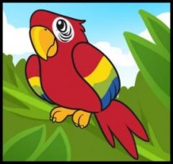 Как нарисовать попугая?