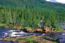 Красивая природа Пермского края: особенности, растения, животные и интересные факты