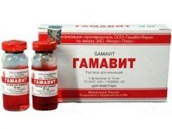 Иммуномодулирующий препарат 