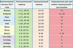 Благоприятные дни для пересадки комнатных растений: рекомендации профессионалов