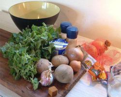 Рецепт щей из крапивы. Как приготовить вкусные щи из молодой крапивы