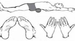 Метод Фукуцудзи - японский способ похудения