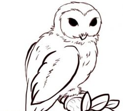 Как нарисовать сову карандашом?