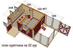 Курятник на 20 кур своими руками: чертежи, этапы возведения