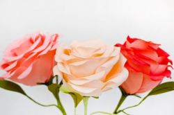 Идеальные розы из гофрированной бумаги – два способа повторить творение природы