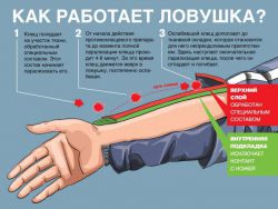 Какой выбрать защитный костюм от клещей?