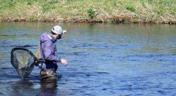 Рыбалка в Ростове-на-Дону: где и когда лучше ловить?