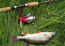 Матчевые катушки: обзор, выбор, рейтинг, отзывы