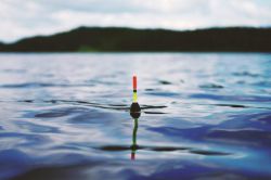 Как правильно отгружать поплавок: пошаговая инструкция и рекомендации