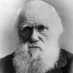 Британский учёный Чарлз Роберт Дарвин: биография, теории и открытия