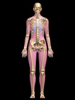 Сцинтиграфия костей скелета: описание