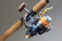 Как выбрать катушку для удочки?