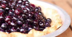Вкусные пироги со свежими ягодами: особенности приготовления и рецепты