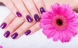 Лаки для ногтей, которые долго держатся: обзор, фирмы и отзывы