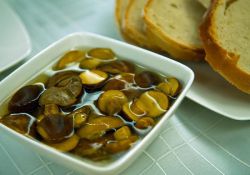 Маринованные подосиновики: рецепты. Как мариновать подосиновики холодным способом