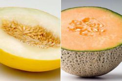 Дынная диета для похудения: меню, отзывы