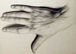 Как рисовать руку, что для этого следует знать и уметь 