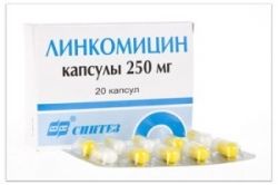 Препарат «Линкомицин». Инструкция по применению
