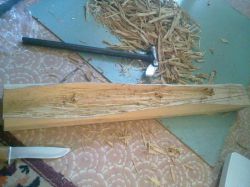 Манок на изюбря своими руками: выбор материалов, чертеж, советы по изготовлению