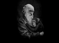 Вклад Дарвина в биологию - особенности, история и интересные факты
