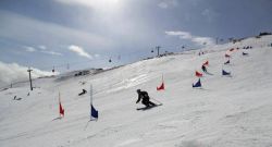 Слалом - это экстремальный вид спорта на грани возможного.