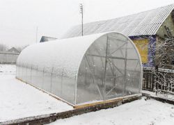 Лучшие дачные теплицы: обзор моделей