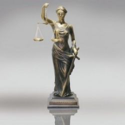 Принципы международного права: сущность и действия