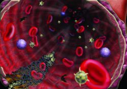 Что показывает анализ крови на гемостаз?