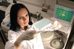 Анализ на женские гормоны : когда сдавать, расшифровка. Основные женские гормоны